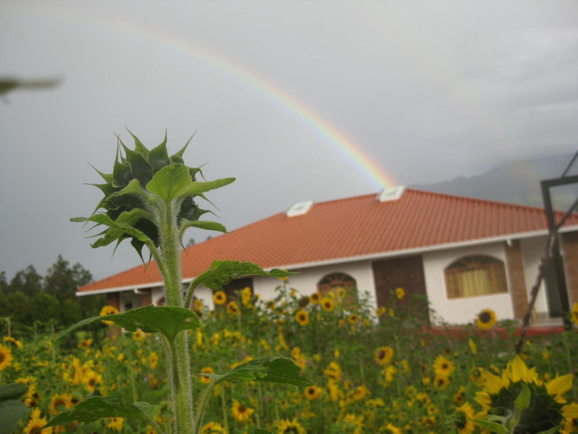Hosteria Oro Azul Cotacachi Luaran gambar